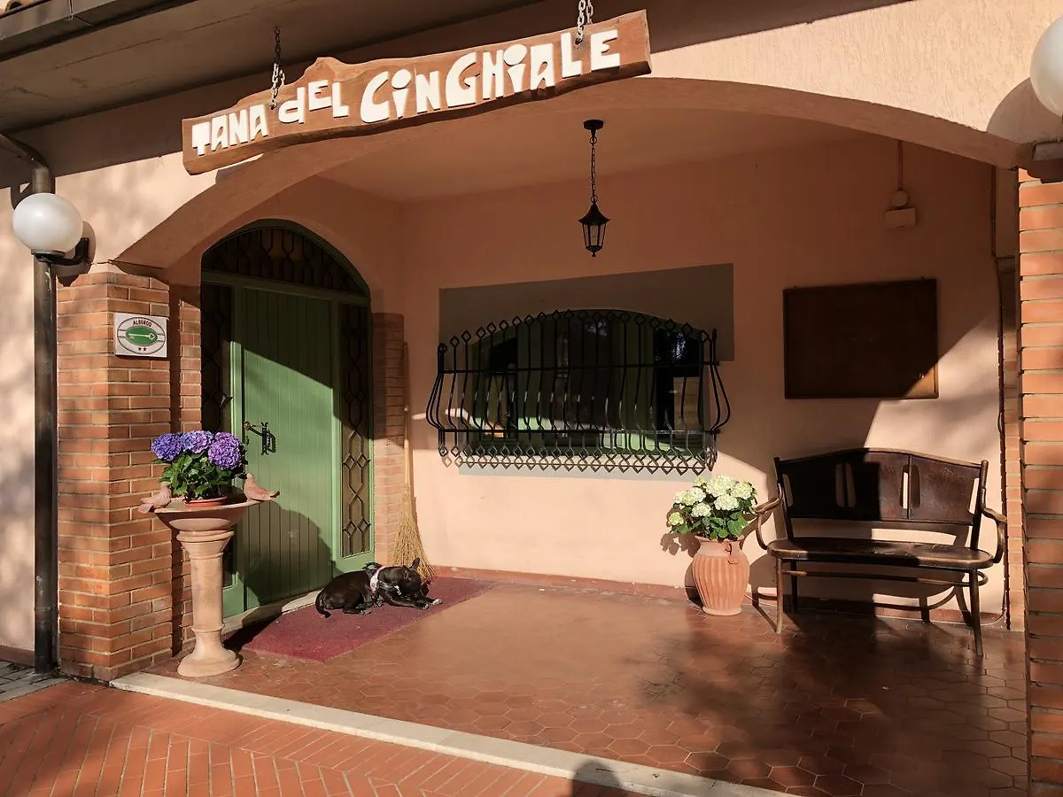 Hotel Tana Del Cinghiale Tirli 2*,