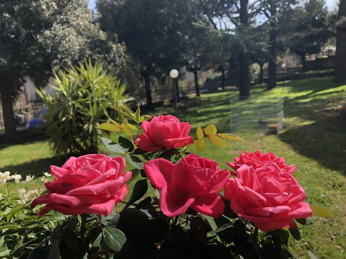 Hotel Tana Del Cinghiale Tirli Italia